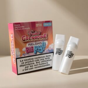 Big Puff Reload 600 Puffs Pods - Pack of 2